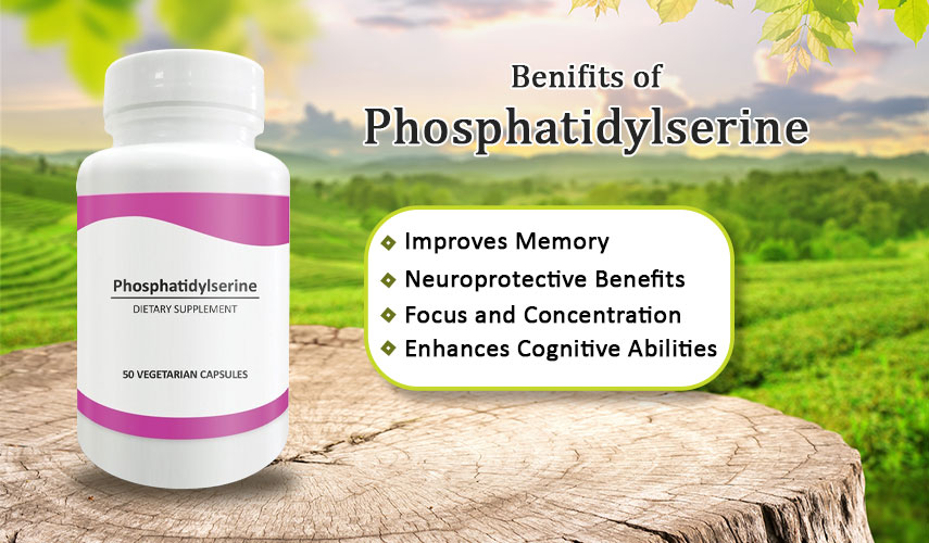 Phosphatidylserine Review – Does This Neutronic Helpful?