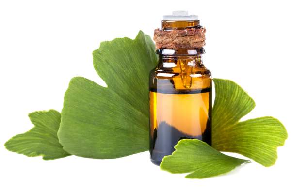Ginkgo Biloba