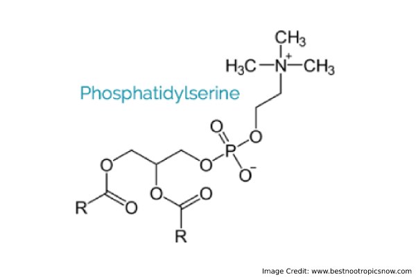 Phosphatidylserine