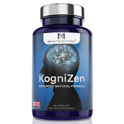 KogniZen  Review – Don’t BUY Until You Read This!”
