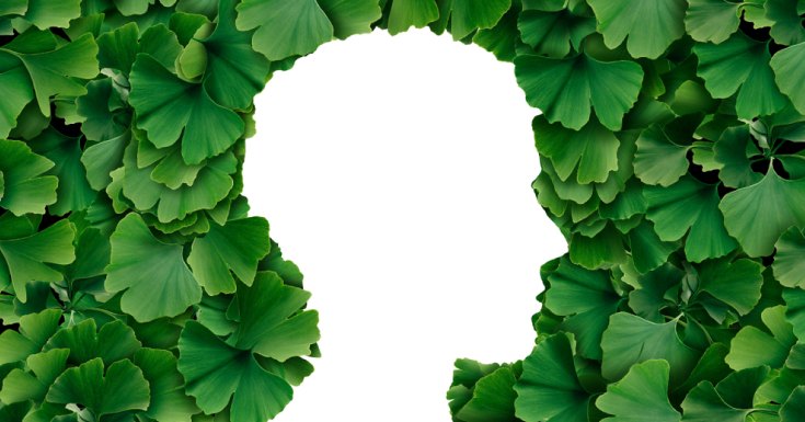 Memory-Enhancing Ingredients