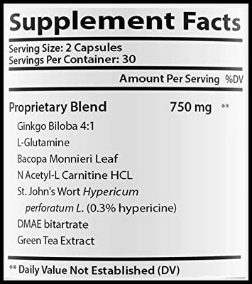 max-synapse-supplement-fact